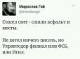 То не дірки в асфальті, то дихає український родючий чорнозем (добірка фото)