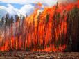 Вже не вперше: У Росії знову розгорілися лісові пожежі