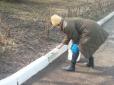 Київська влада заборонила білити дерева і бордюри