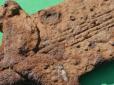 Унікальна скіфська зброя: На Донеччині знайшли артефакт 2500-річної давнини