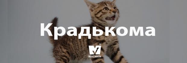 Говори красиво: 10 українських слів, які збагатять вашу мову - фото 162236