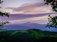 Американець, який випадково потрапив в Україну, закохався в неї (фото, відео)