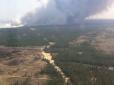 На Херсонщині розгорілася масштабна лісова пожежа, до гасіння залучили авіатехніку (фото)