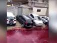 Нестерпний сморід: В Аргентині тонни крові затопили вулицю (відео)