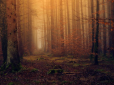 В одному із сіл Росії не змогли мобілізувати жодного чоловіка: Куди зникли призовники